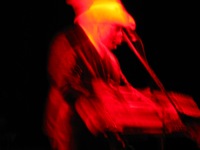 Junior Brown at the Honesdale Roots & Rhythm Music & Arts Festival, 2009