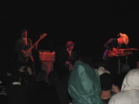 Junior Brown at the Honesdale Roots & Rhythm Music & Arts Festival, 2009