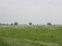 Walking Pickett's Charge at Gettysburg - the way out