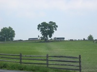 Walking Pickett's Charge at Gettysburg - the way out
