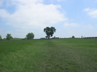 Walking Pickett's Charge at Gettysburg - the way out