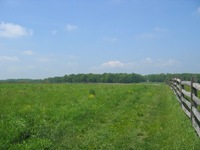Walking Pickett's Charge at Gettysburg - the way out