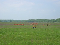 Walking Pickett's Charge at Gettysburg - the way out