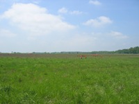 Walking Pickett's Charge at Gettysburg - the way out