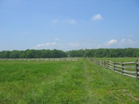 Walking Pickett's Charge at Gettysburg - the way out