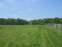 Walking Pickett's Charge at Gettysburg - the way out