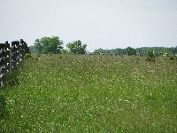 Walking Pickett's Charge at Gettysburg - the way out
