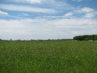 Walking Pickett's Charge at Gettysburg - the way out