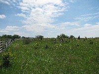 Walking Pickett's Charge at Gettysburg - the way out