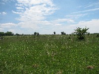 Walking Pickett's Charge at Gettysburg - the way out