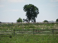 Walking Pickett's Charge at Gettysburg - the way out