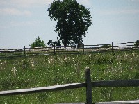 Walking Pickett's Charge at Gettysburg - the way out