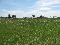 Walking Pickett's Charge at Gettysburg - the way out