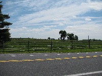 Walking Pickett's Charge at Gettysburg - the way out