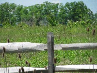Walking Pickett's Charge at Gettysburg - the way out