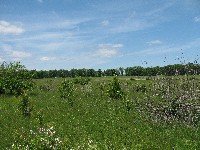Walking Pickett's Charge at Gettysburg - the way out